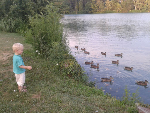 20150707_204024.jpg