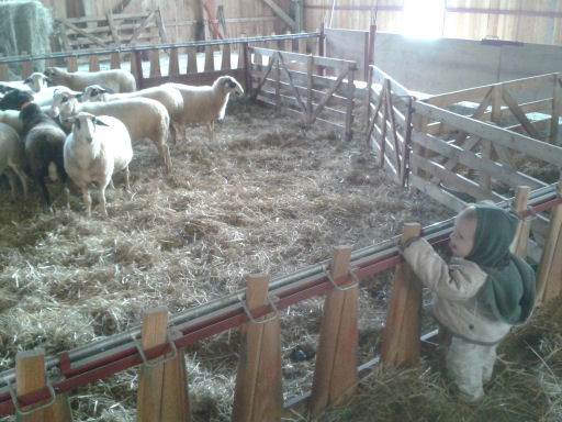 20151114_112022.jpg