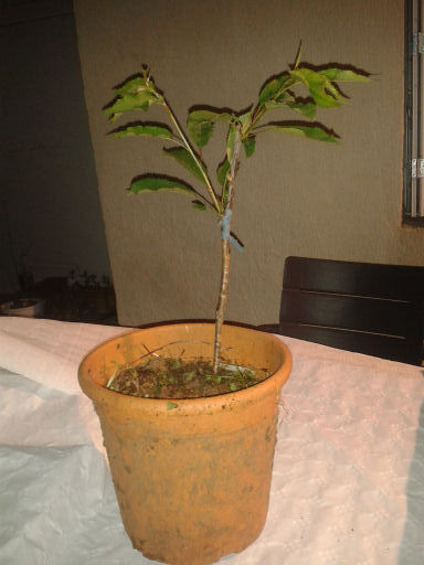 20150513_232946.jpg