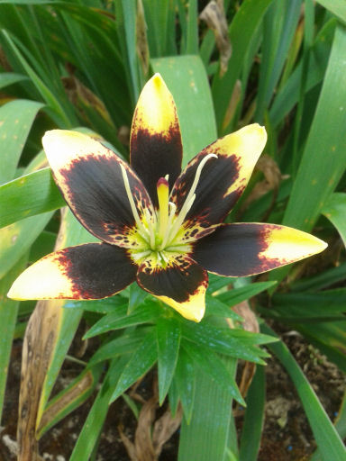 20160611_190901.jpg