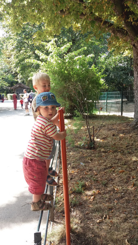 20160813_150850.jpg
