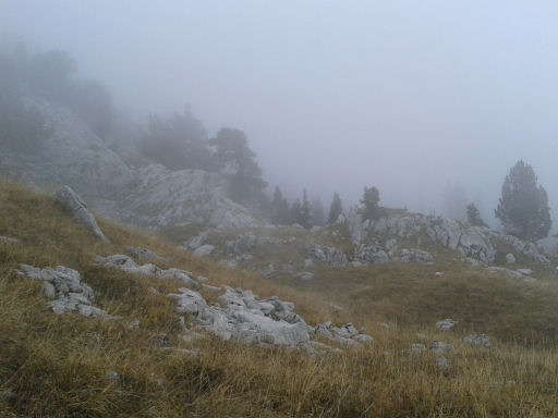 20161019_133306.jpg