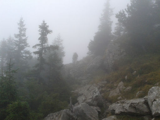 20161019_153230.jpg