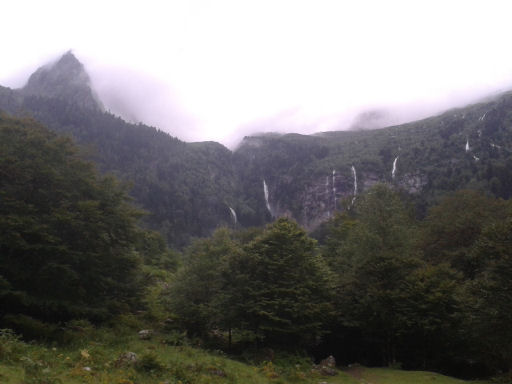 20160723_100137.jpg